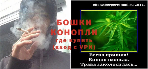 дживик Россошь