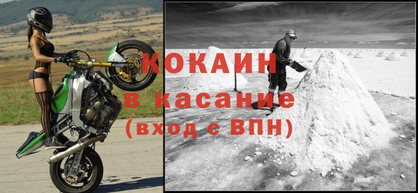 дживик Россошь