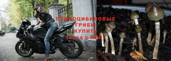 дживик Россошь