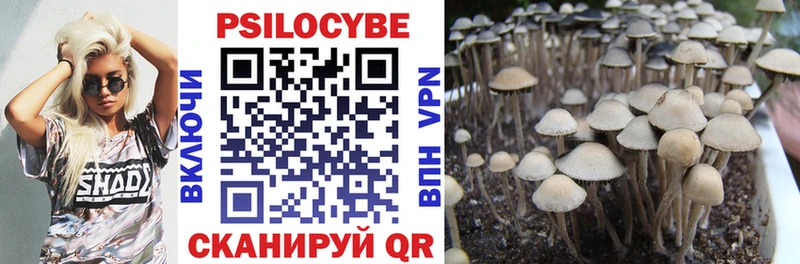 Псилоцибиновые грибы мухоморы  хочу наркоту  Бологое 