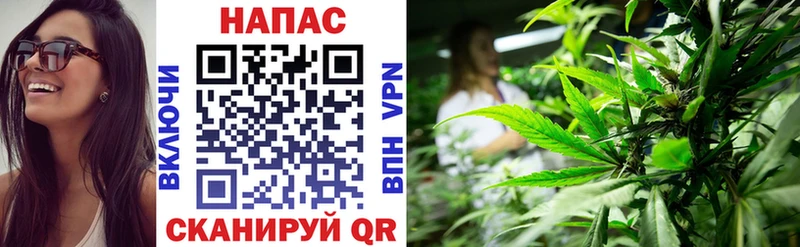 блэк спрут вход  Бологое  Конопля Ganja 